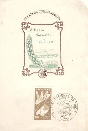 FOL006P