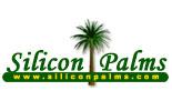 Silicon Palms