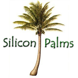 Silicon Palms