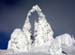 frozen-tree