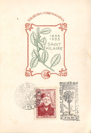 FOL008P