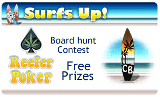 Surfs up Promotion