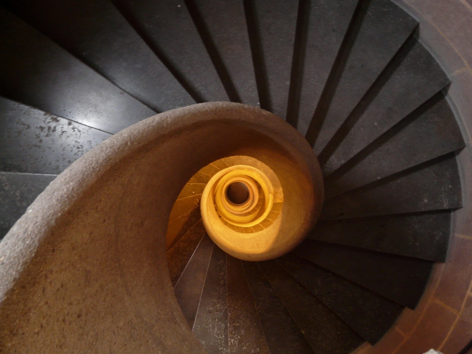 The Art of Speculation