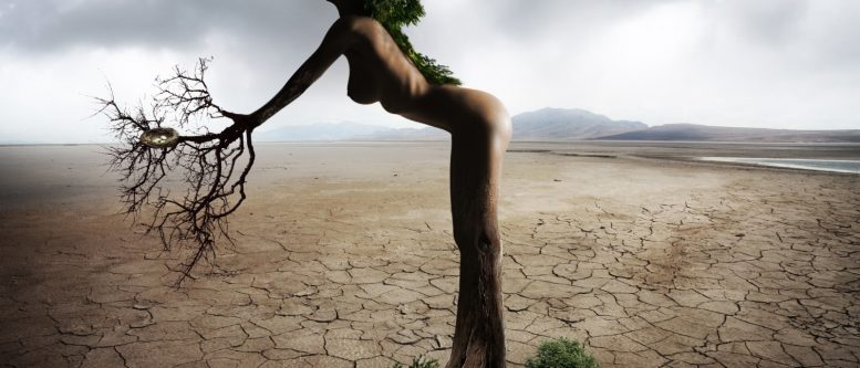 Wikimedia Commons and Visual Hunt Woman female beautiful erotic sensual tree nature - wikimedia commons