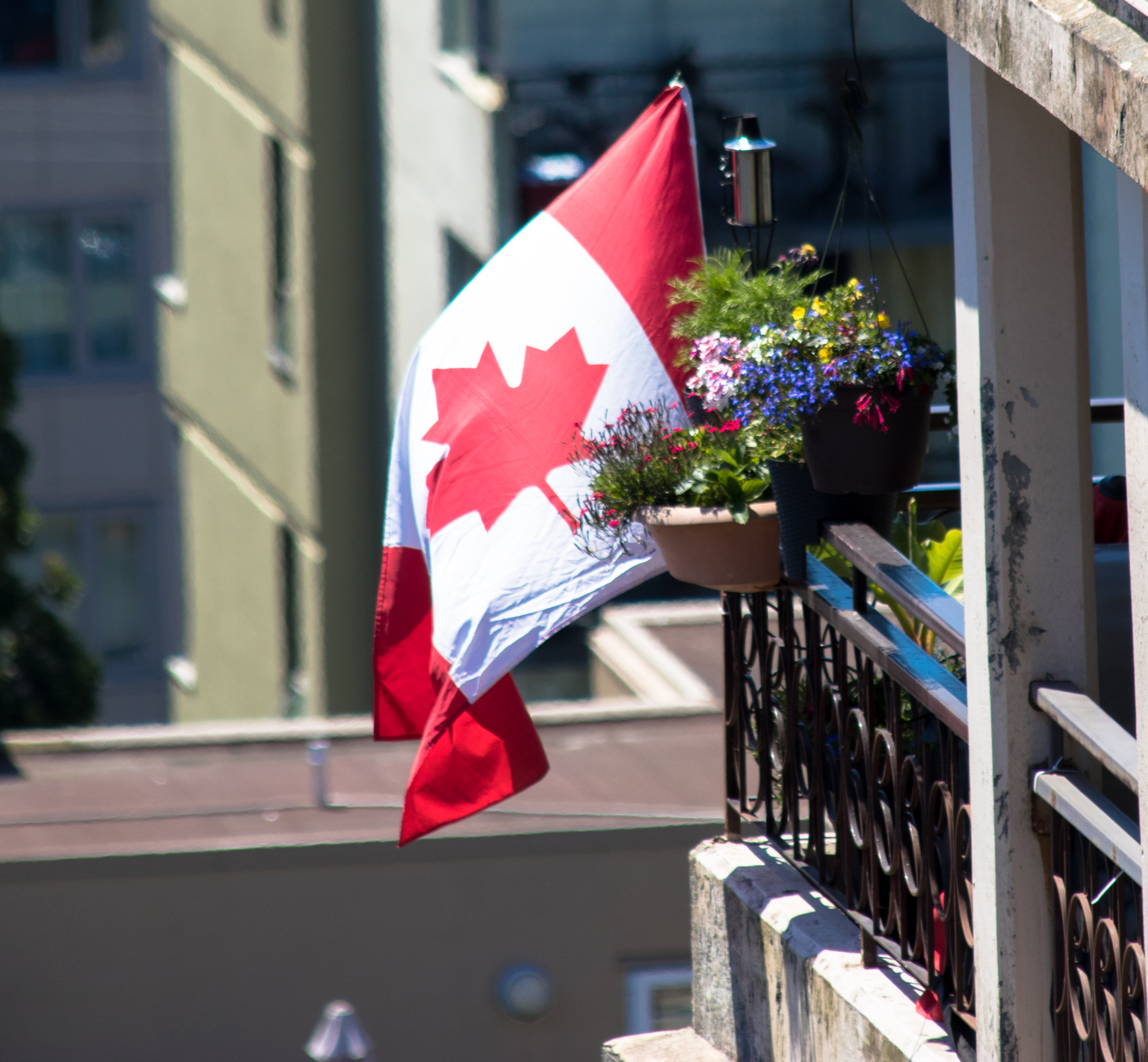 Canada at one hundred fifty years old