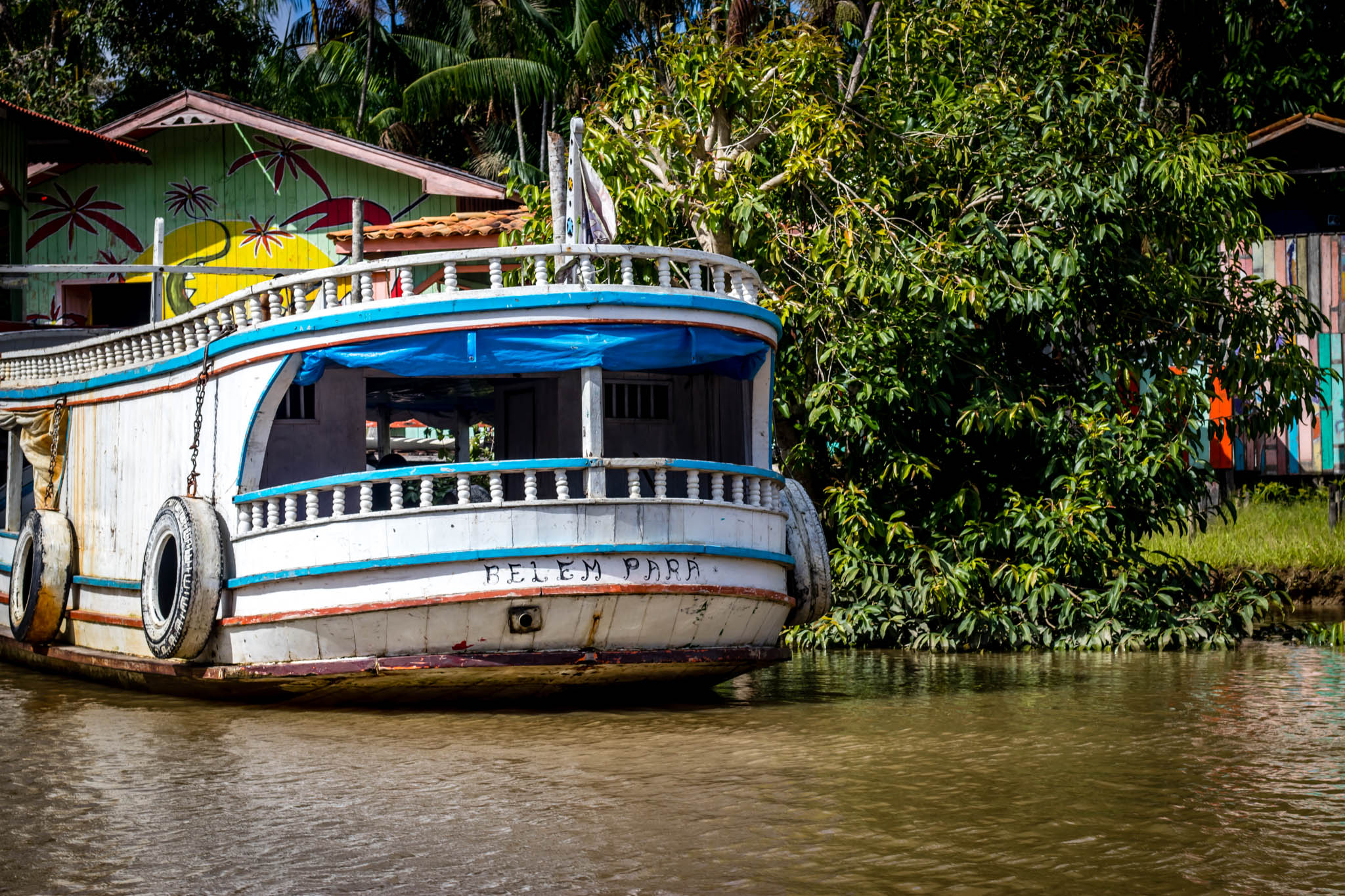Reflections on Amazonia