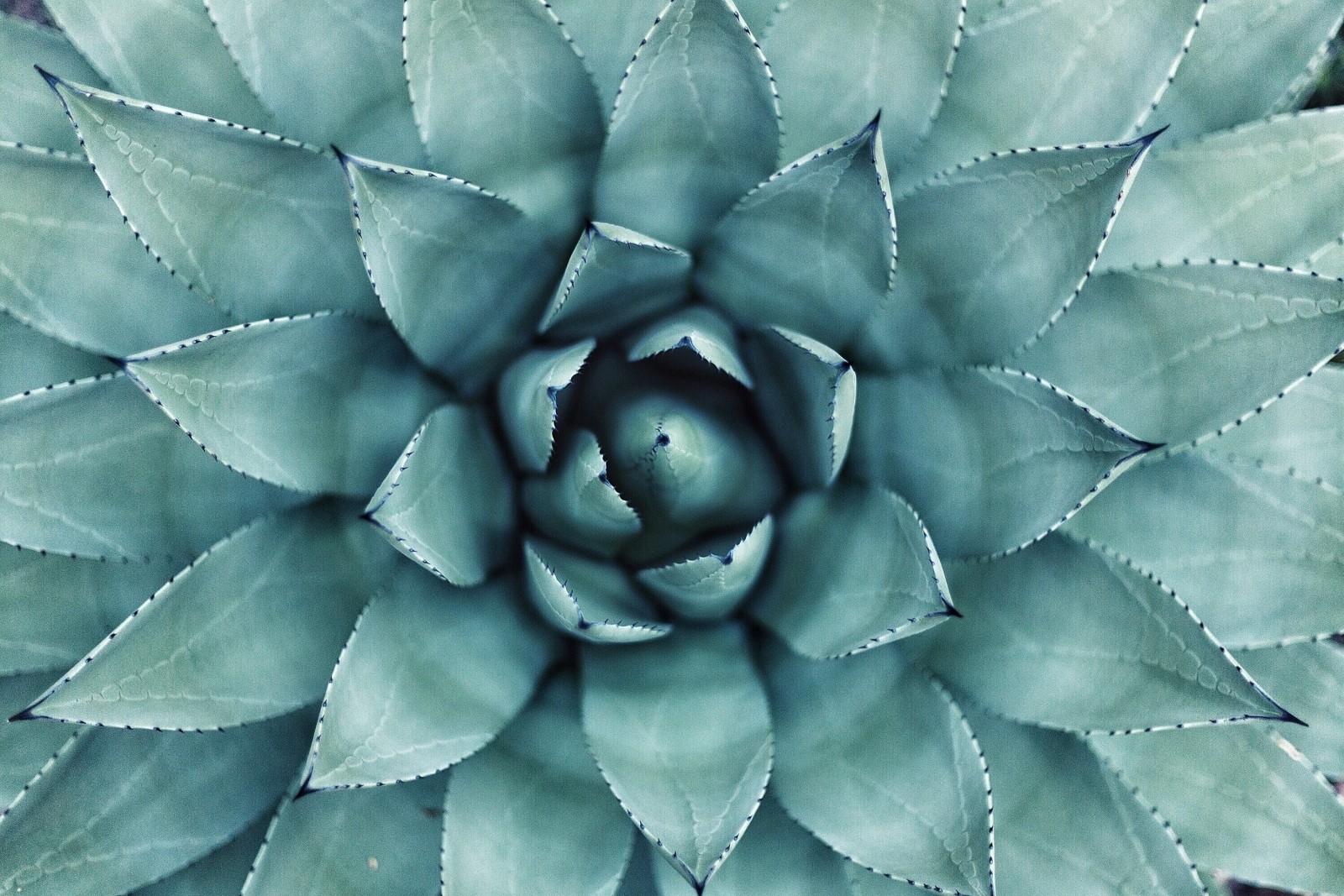 Practicing mindfulness and meditation