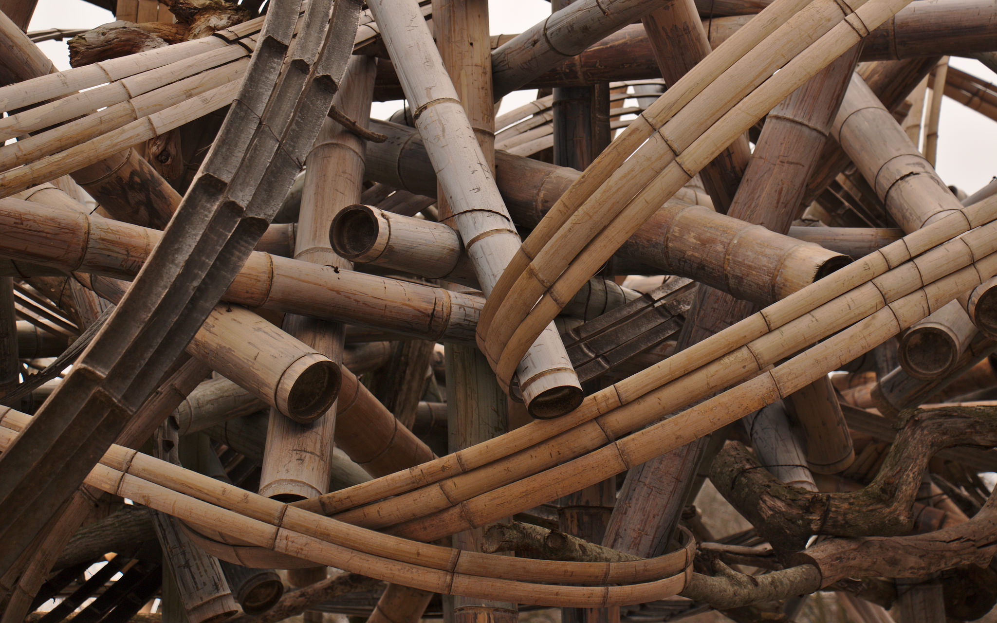 Bamboo Design Art and Architecture