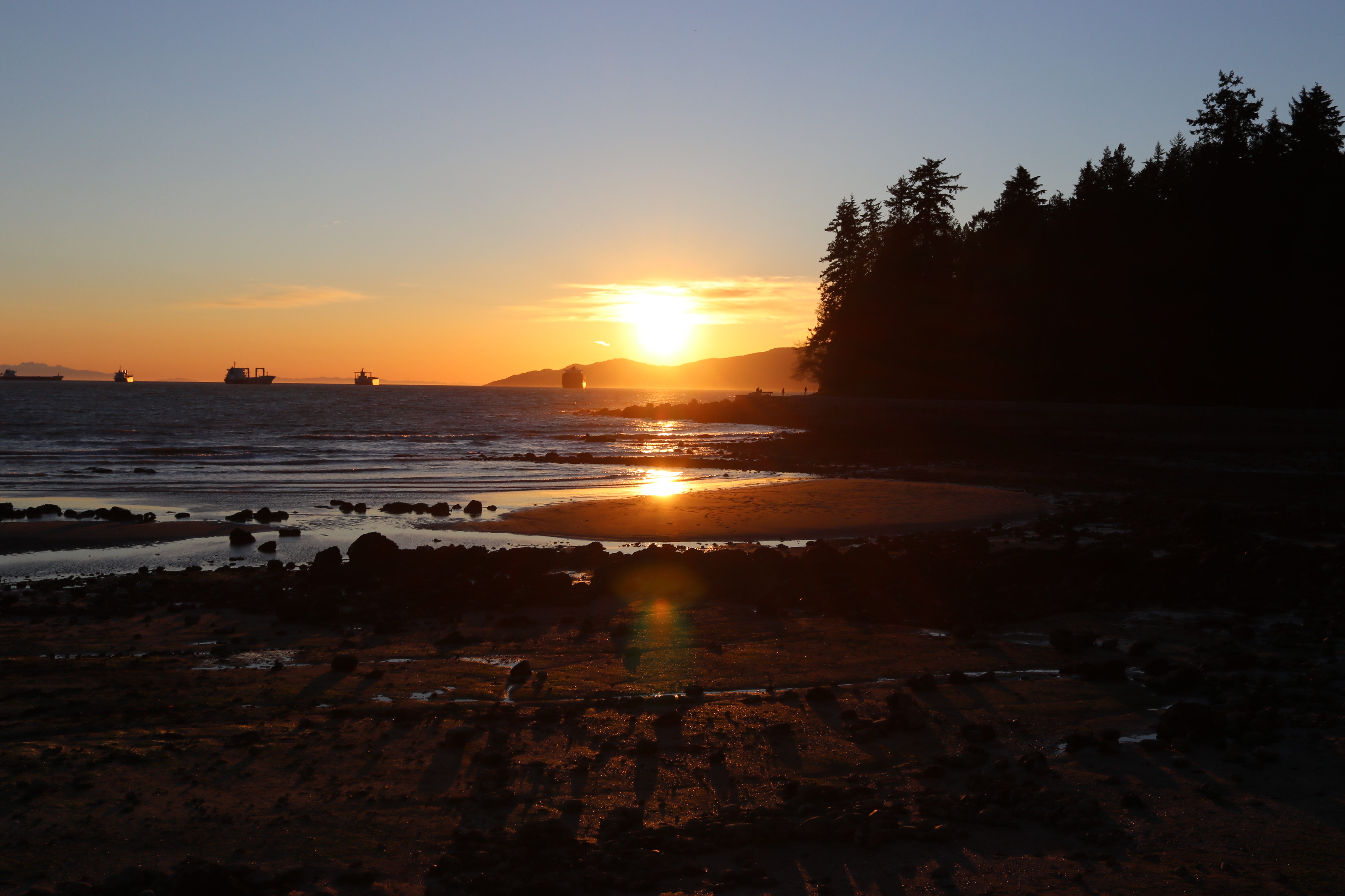 Vancouver Island Ormus