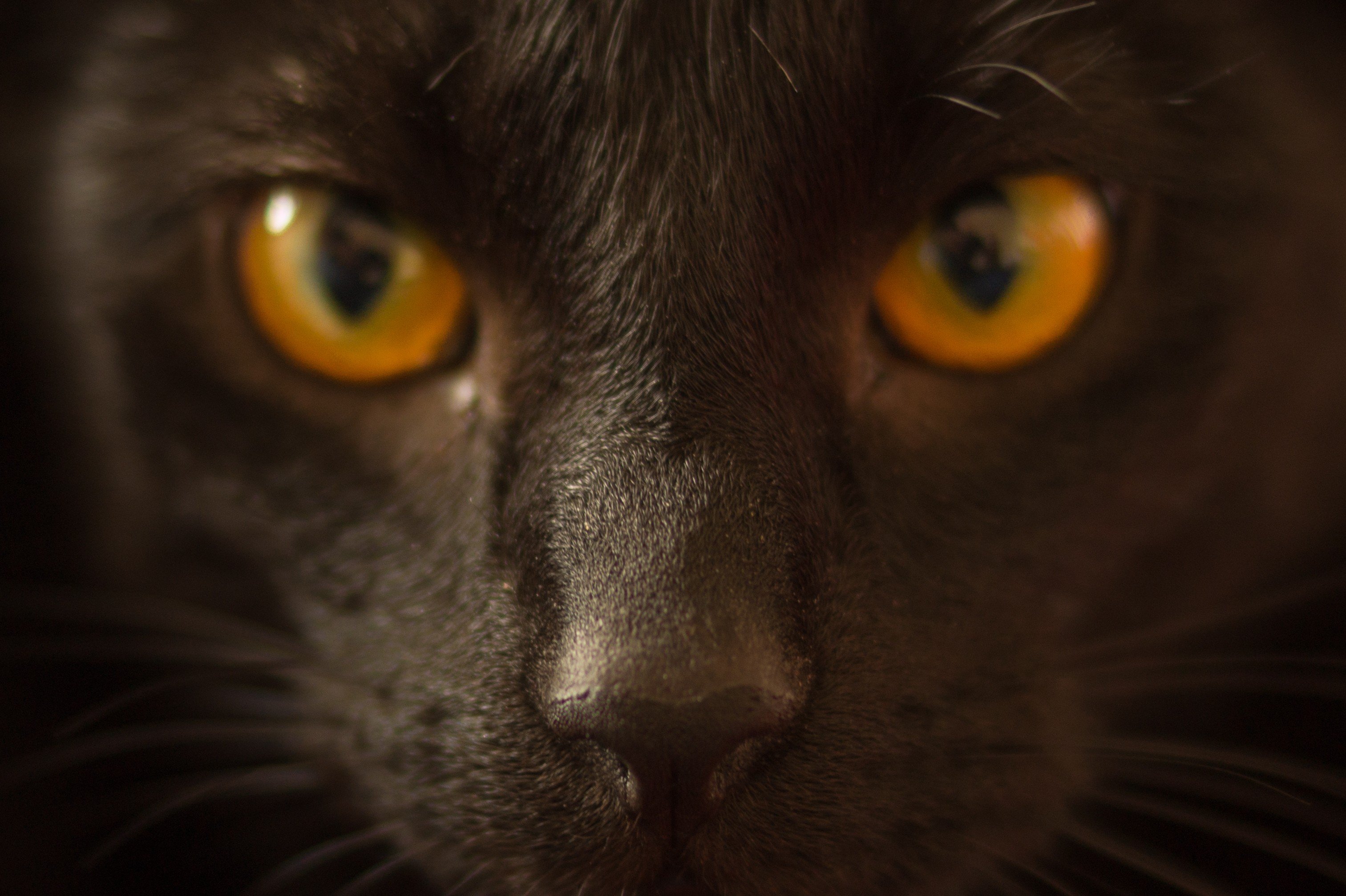 Visual Hunt Rocks for Publishers
