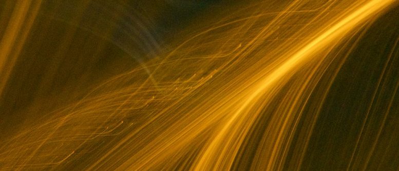 Swimming in the Stream of Consciousness Stream of Consciousness