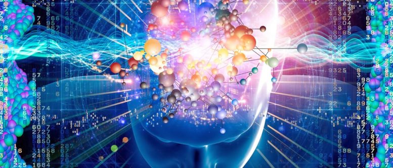 Hive Blog Rocks the Blockchain Hive Mind