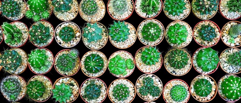 Emerald Tablets and the Halls of Amenti Emerald Tablets and the Halls of Amenti