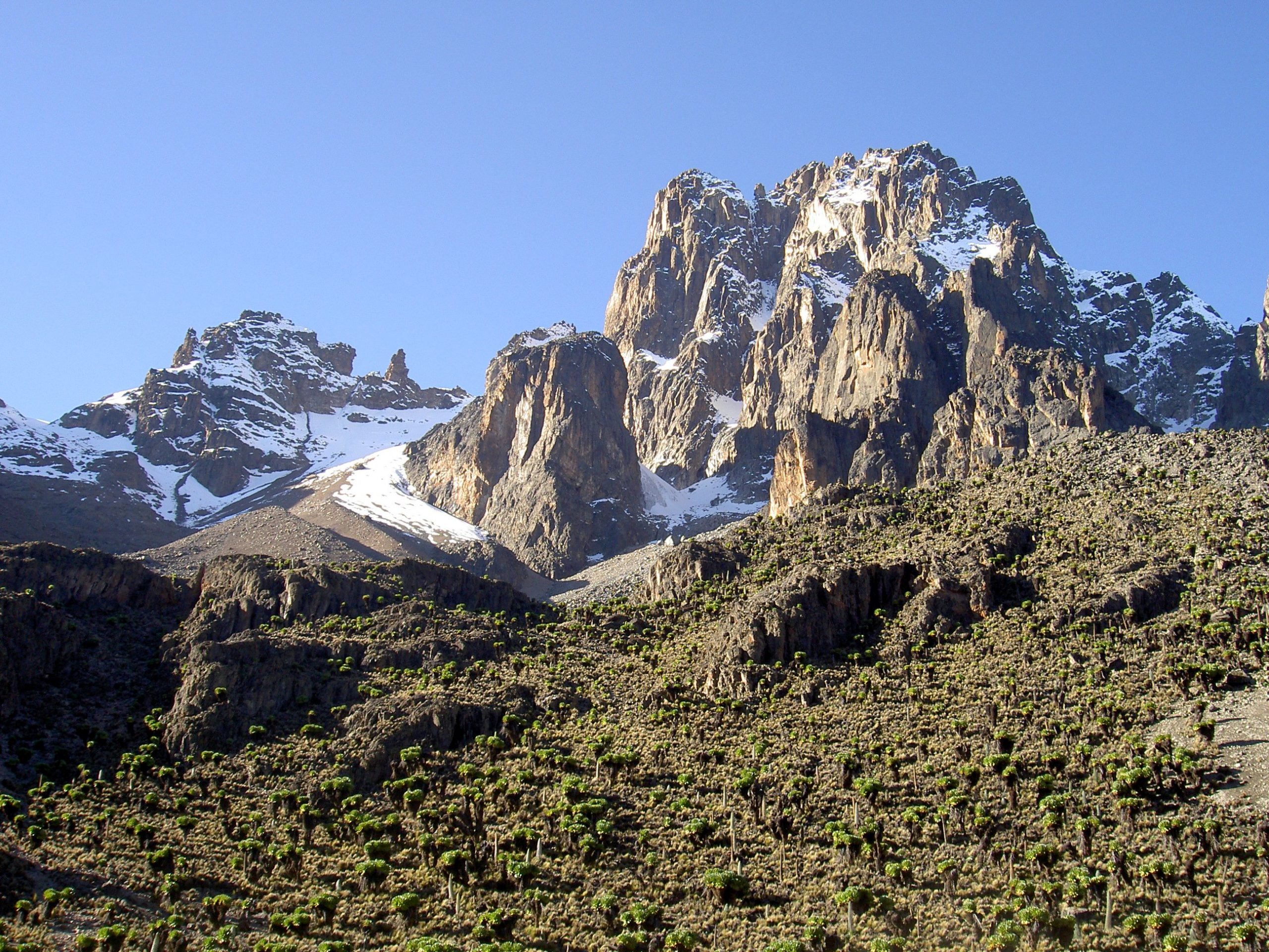 The Seerers of Mount Kenya and the Ark of the Covenant Silicon Palms