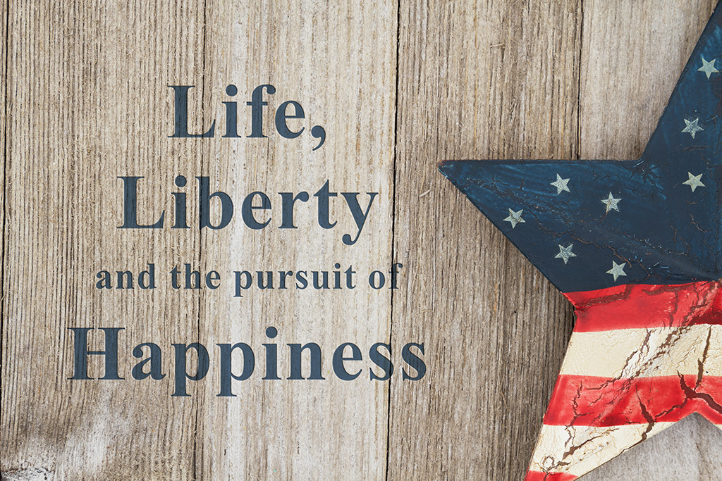 Wisdom is all we need to Find Happiness