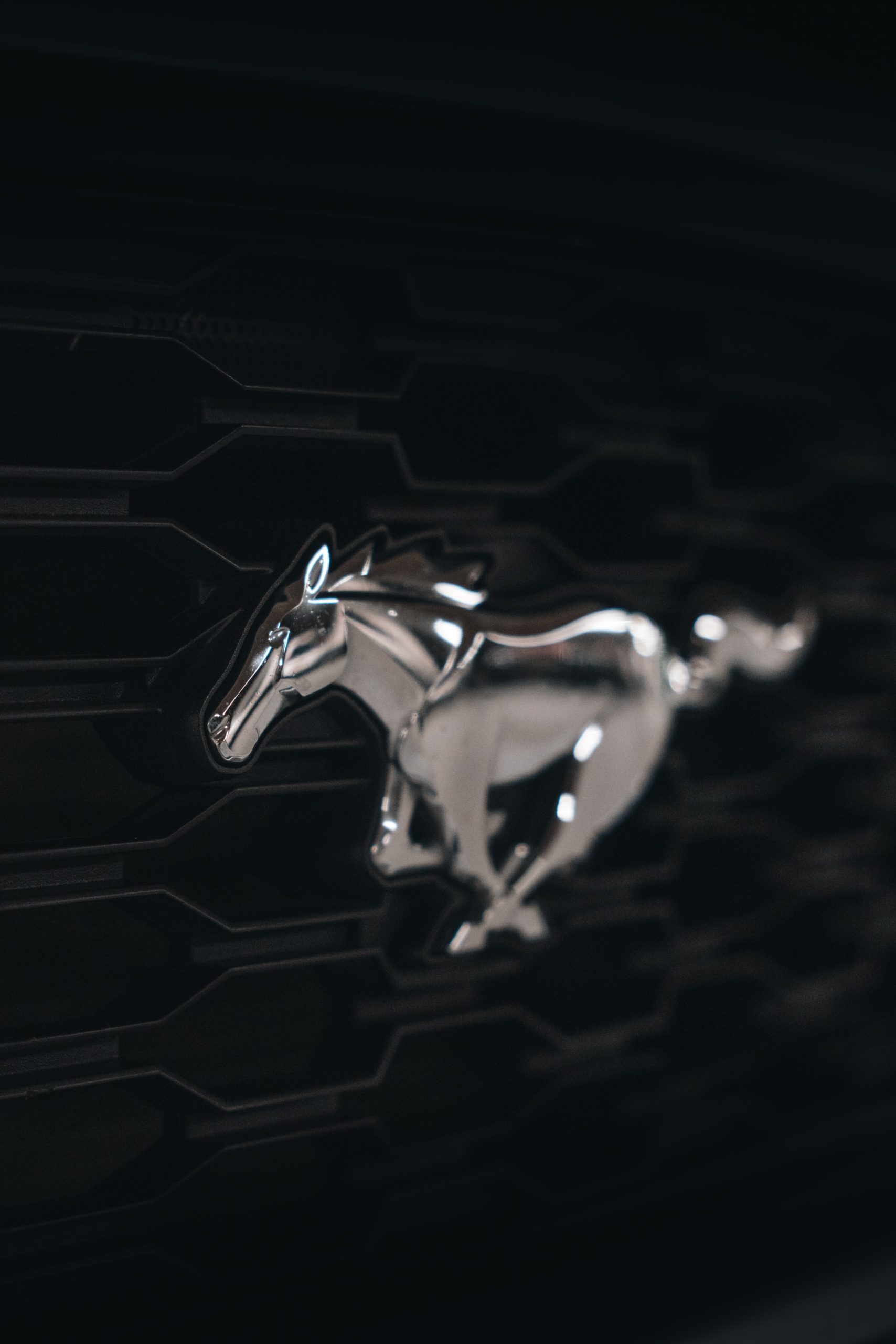 Mustang Sally and the Pony of China