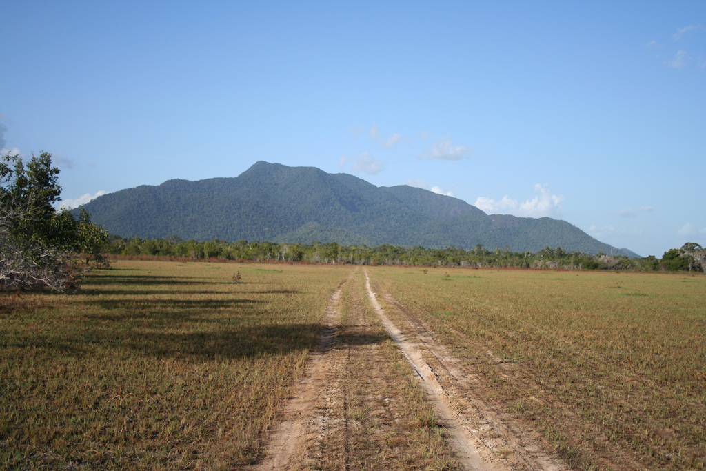 Eco Friendly Project Jaguar in Guyana