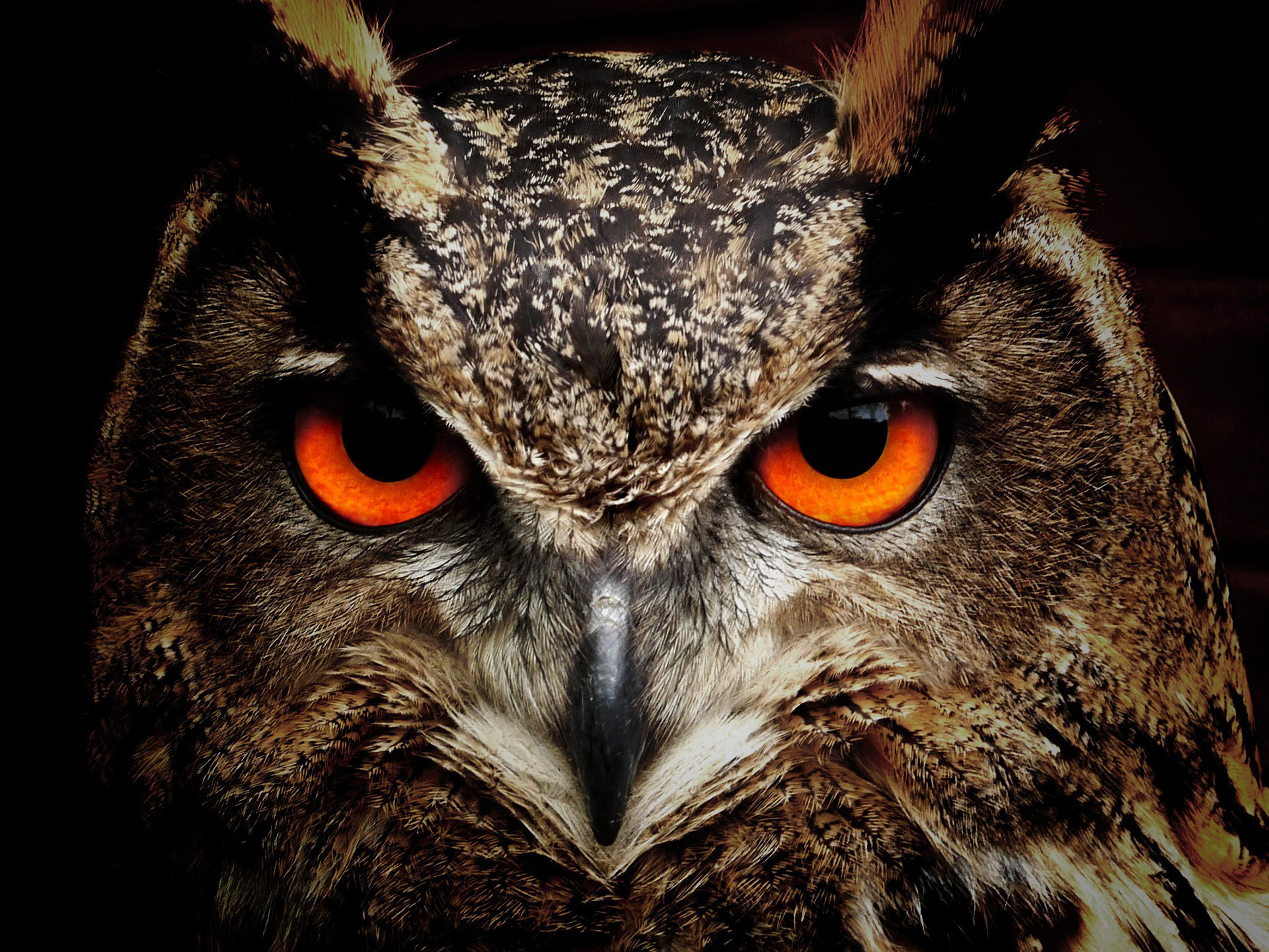 Great Awakening Aftermath and Overcoming Trauma